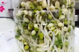 蔬菜还用买？拿个饮料瓶，撒点儿种子，10天就收获，一家人吃不完图片