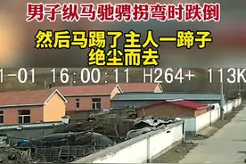 男子纵马驰骋拐弯时跌倒，然后马踢了主人一蹄子，绝尘而去图片