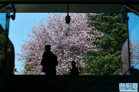 贵阳地铁1号线观山湖公园站披上了一层浪漫的花纱！图片