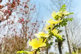 儿女谈婚论嫁，低层次的父母会有3种行为，高层次的父母从来不做图片