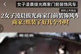 精神小妹凌晨偷小风车 事后不知悔改：隔天竟带一群小妹继续作案图片