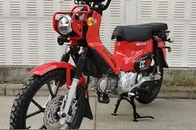 本田幼兽CC110炒得火热，国内有哪些同类产品可供选择？图片