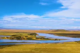 身弱之人的特征。身弱之人一旦开悟，便可成龙成凤。#身弱之人图片