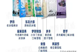 试吃完16款平价雪糕，想实现雪糕自由还得指望这些童年味道图片
