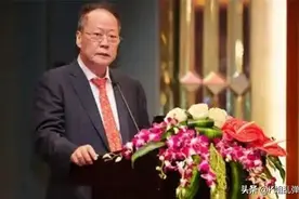 星河黄楚龙：从泥水工到千亿富豪，搭了造血铁三角，究竟有多牛？图片