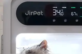 Jirpet F1宠物烘干箱，提高生活品质的可不止小主子图片