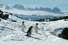 南极冰盖下有什么？俄罗斯钻探20年，4千米处出现“异星世界”图片