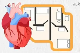 护好世界上最贵的“房子”——心脏图片