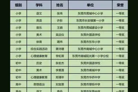 第三届广东省中小学青年教师教学能力大赛获奖名单公布图片
