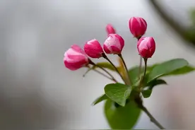 让你永不生病的三个字！（太精辟了）图片