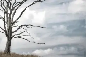 最近很火的一段三观不合的话，社会现实，人心复杂心累的心情说说图片