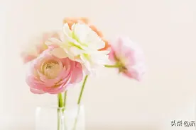 讨厌一个人，无需翻脸，无需直言，只要学会三句话就够了图片