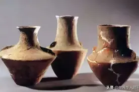 请老外喝白酒，喝完他哭了图片