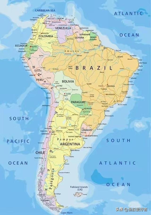 鱼胶的产地哪里最好 2026年鱼胶的产地哪里最好最正宗