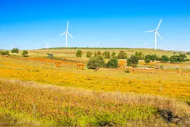 一个人身上最好的风水，不是有钱，而是有这4个字，是福报图片