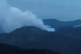 为何东航客机垂直坠毁？航空专家深度剖析失事潜因图片