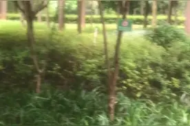 人去世后真有灵魂存在吗？图片