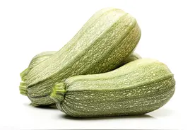 【普法小课堂】《中华人民共和国生物安全法》图片