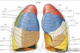 肺部手术会对身体造成哪些影响？图片