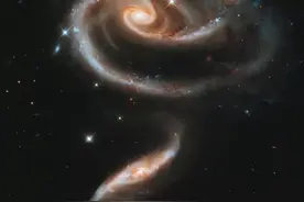 词项逻辑：直接推理图片