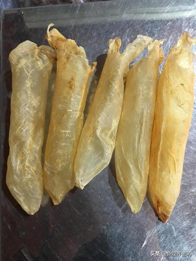 巴沙鱼胶的功效 2026年巴沙鱼胶的功效与禁忌 巴沙鱼胶的功效 2026年巴沙鱼胶的功效与禁忌