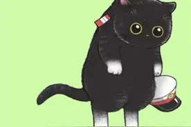 为什么只有警犬，没有警猫？图片