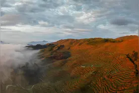 现当代诗歌阅读与鉴赏——三步读懂，重点赏析图片