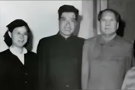 毛岸英去世后，刘思齐改嫁杨茂之生下四个孩子，杨茂之是何身份图片