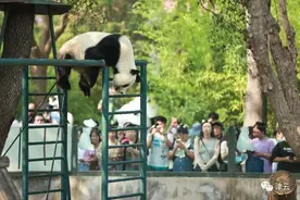 “八里台二公主”十岁了！直击生日会“营业”现场→图片