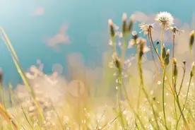 一步一步教你冥想，特详细，必须收藏图片