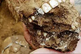 不可思议的史前考古发现，脑袋上有孔是开颅手术，还是吸食人脑？图片