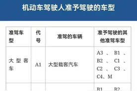 【车管小课堂】快来看看，想要增驾须符合哪些条件？图片