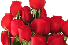 一个人，为自己而活，才能活得幸福图片