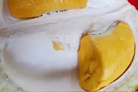 秒懂系列策划 | 带你去马来西亚猫山王榴莲之乡图片