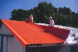 曾经在农村“风靡一时”的树脂瓦，为何现在没人用了？不流行了？图片