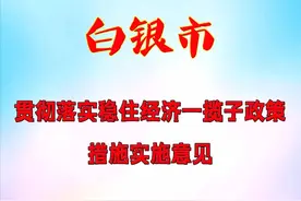 【重磅消息】白银市稳住经济一揽子政策措施来了!!!(11方面57条)图片
