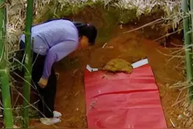 2006年广西女子给丈夫上坟时，听到丈夫叫声，开棺后发现丈夫没死图片