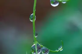 梦到十年前的女同桌图片
