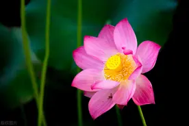 夫妻两个人感情好不好，看看女人的起床时间，便能知晓图片