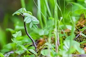 层次越低的人，越喜欢说以下三种话，交往需谨慎图片