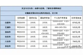 2023年安徽新农保6000元档次退休金，不同城市交最高档待遇表图片