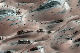 探测器在火星上发现森林？经科学家确认：照片真实拍摄无造假！图片