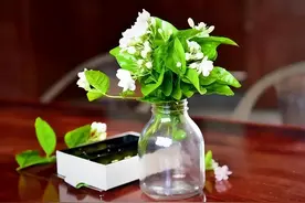 离别不舍又必须走的句子，句句心酸!图片