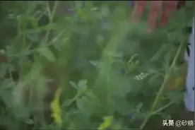 一起《灵魂摆渡》——当自己不再是自己图片