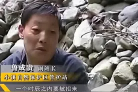 “招蛇术”大揭秘：有人能“召唤蛇”，专家上门请教，他说不外传图片