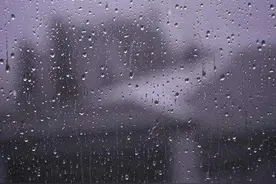 关于偷拍这件事图片