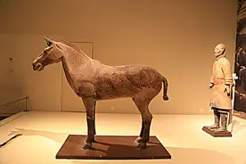 深析唐朝在战争中必不可少的战马类型以及培养过程图片