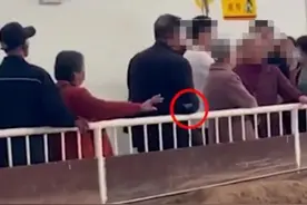 游客向兵马俑坑内吐痰扔烟头！景区通报未提及“火怎么带进去的”图片