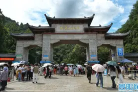 快来围观，黔灵山“网红猴哥”太可爱了！图片