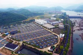 2000一口鱼子酱居然是浙江产？！还有这些…图片